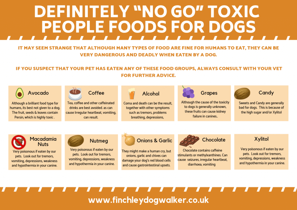 Petworshiper Dangerous Human Foods That Your Dog Shouldn't Eat – Toxic And  Safe Foods For Canines Homesitters Ltd