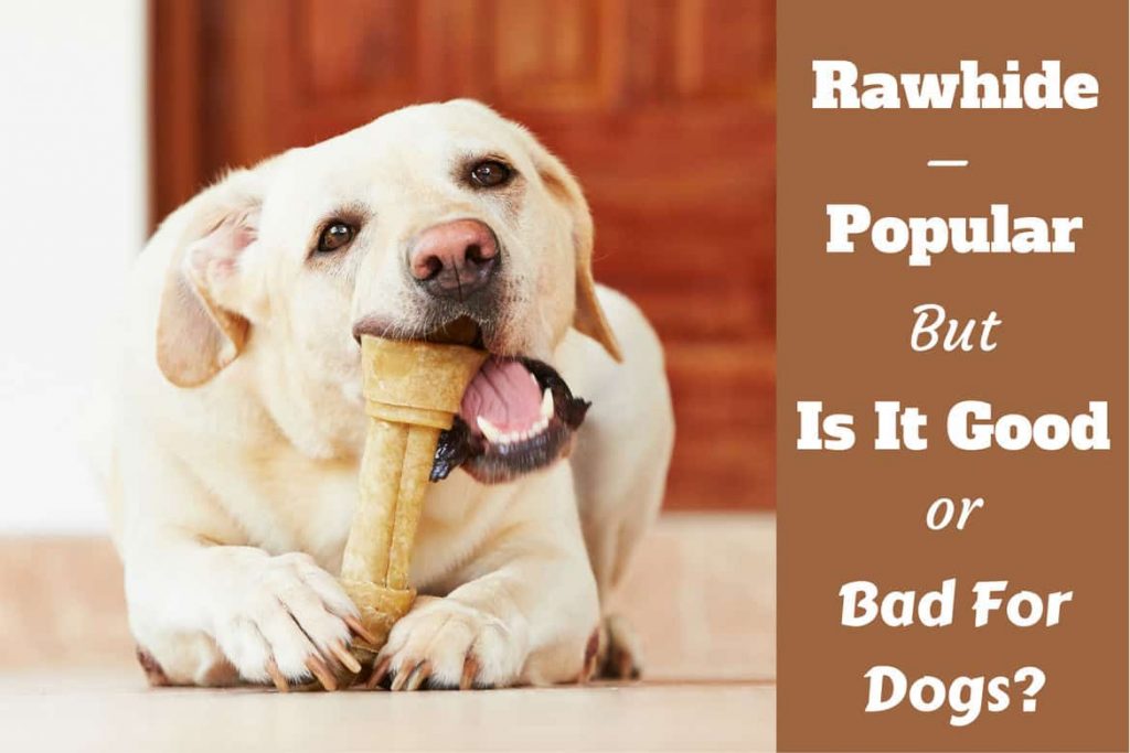 canine chews rawhide